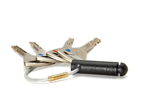 TRAKA ASSA ABLOY TRAKA21 Sicherheitsplombe